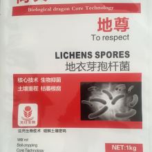 2019年生物肥料行情分析 价格走势与批发报价参考